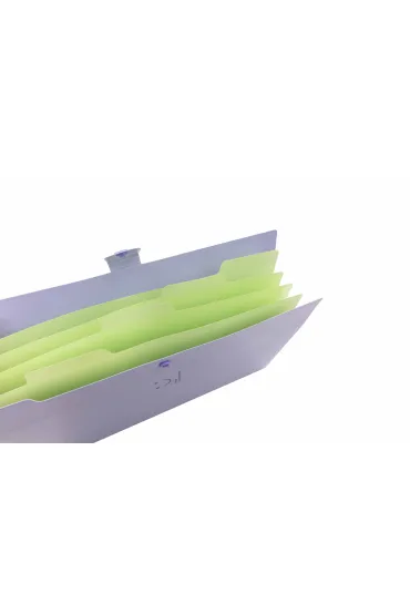 Beniamin Teczka plastikowa A4 z 5 przegr�dkami fioletowa