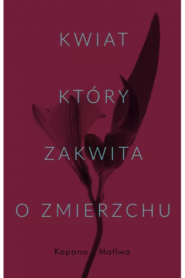 Kwiat, kt�ry zakwita o zmierzchu - Kopano Matiwa