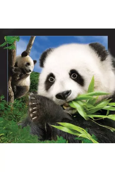 Worth Keeping Magnes 3D Panda