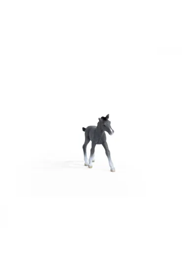 �rebi� rasy trake�skiej