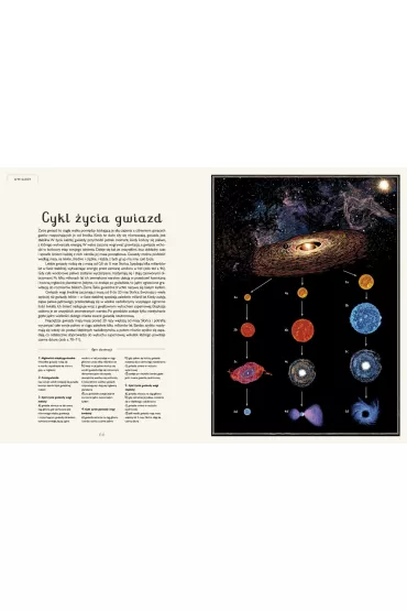 Planetarium. Muzeum Kosmosu - Chris  Wormell, Raman Prinja