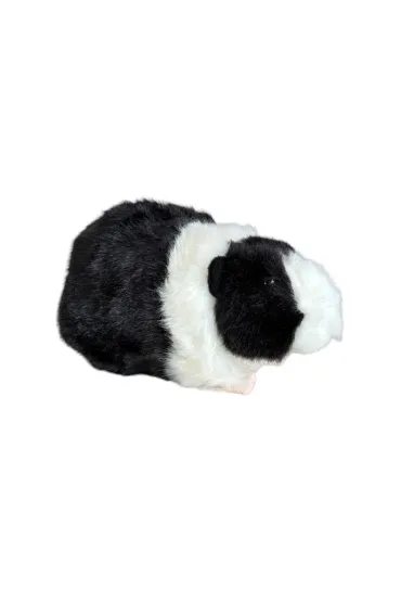 Kawia domowa czarno-bia�a 20cm Dubi