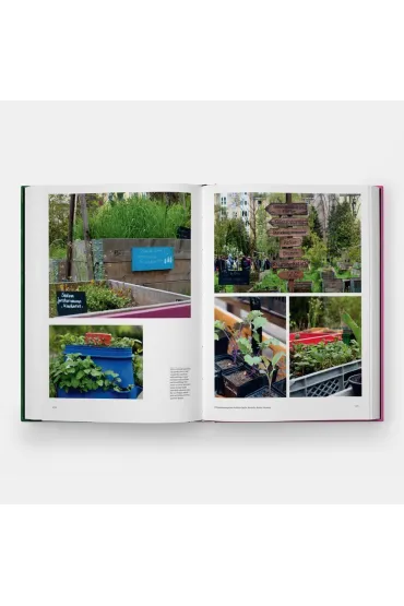 The Kitchen Garden - Toby Musgrave
