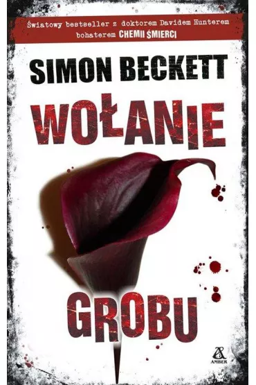 Woanie grobu - Simon Beckett