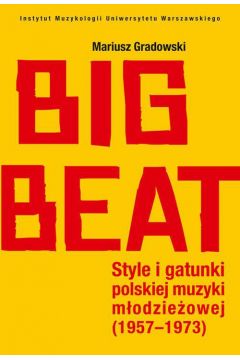 eBook Big Beat pdf