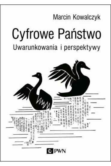 Cyfrowe Pastwo. Uwarunkowania i perspektywy - Marcin Kowalczyk
