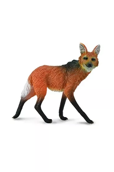 Wilk grzywiasty