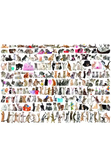 Puzzle 1000 el. �wiat kot�w Eurographics