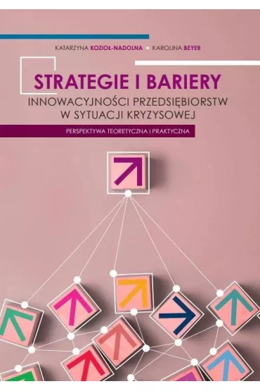 Strategie i bariery innowacyjno�ci przedsi�biorstw - Katarzyna Kozio�-Nadolna, Karolina  Beyer