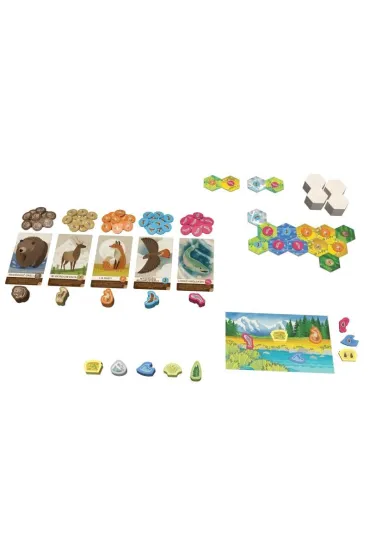 Kaskadia Junior Lucky Duck Games Polska