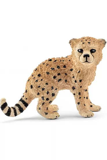 M�ody Gepard
