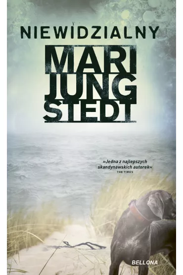 Niewidzialny. Inspektor Anders Knutas. Tom 1 - Mari Jungstedt