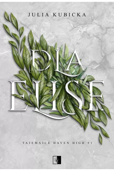 Dla Elise. Tajemnice Haven High. Tom 1 - Julia Kubicka