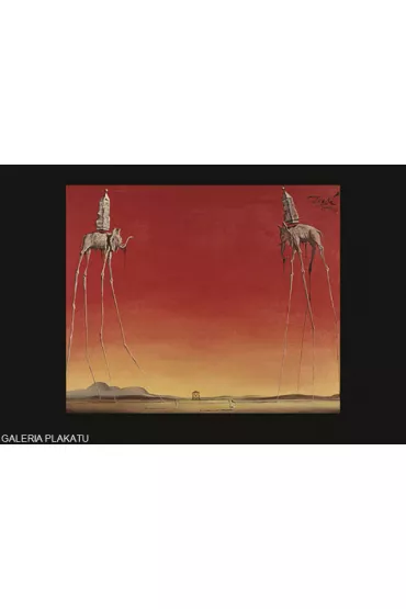 Salvador Dali - S�onie - plakat premium 80x60 cm