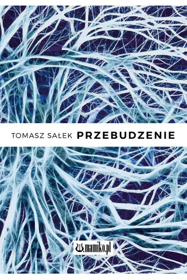Przebudzenie - Tomasz  Sa�ek