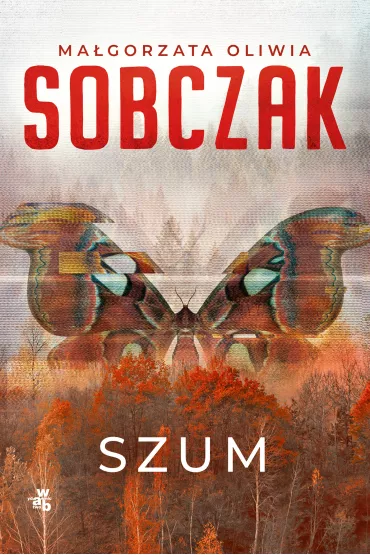 Granice ryzyka. Szum - Ma�gorzata Oliwia Sobczak