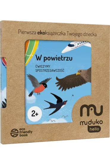 W powietrzu. wiczymy spostrzegawczo