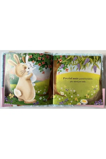 Przytul mnie Kr�liczku. Czytanka przytulanka - Joyce Melanie