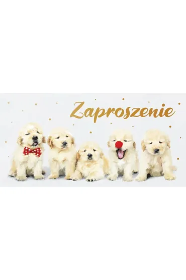 AbCard Zaproszenie Dzieci�ce Z139 (5 szt)