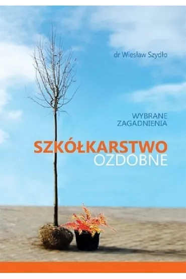 Szk�karstwo ozdobne. Wybrane zagadnienia - Wies�aw  Szyd�o