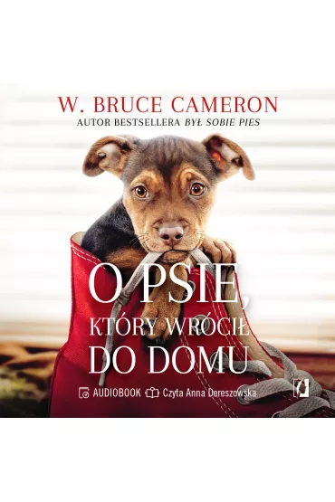 Audiobook O psie, kt�ry wr�ci� do domu mp3 - W. Bruce Cameron