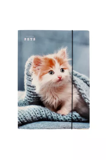 Pan Dragon Teczka z gumk� A4 Pets NR22 P-DR 970387