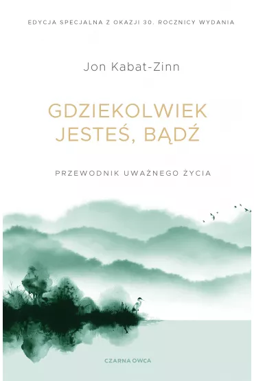 eBook Gdziekolwiek jeste, bd mobi epub - Jon Kabat Zinn