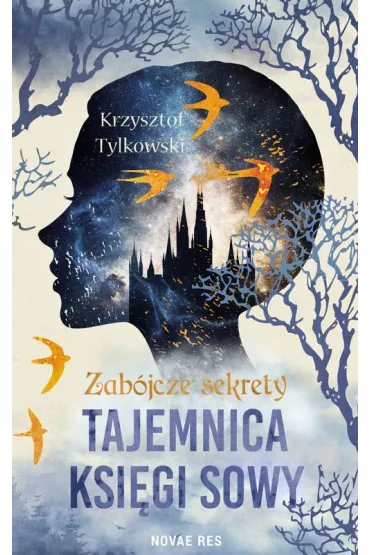 Zab�jcze sekrety. Tajemnica Ksi�gi Sowy - Krzysztof Tylkowski