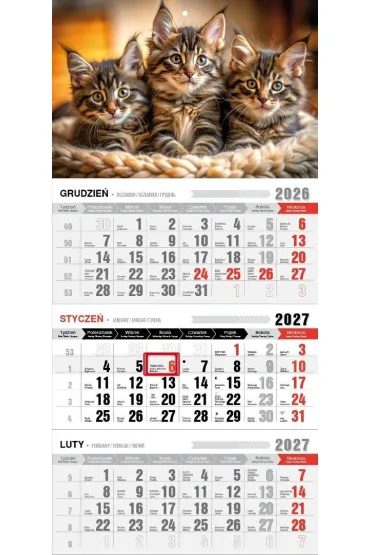 Kalendarz 2027 tr�jdzielny ekonomiczny kotki