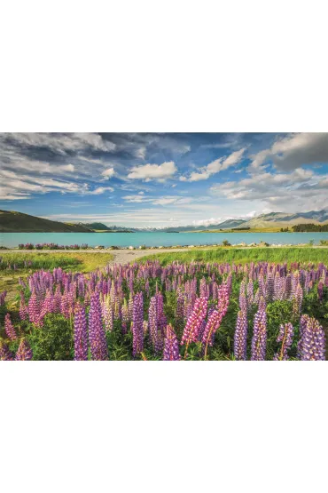 Puzzle 1500 el. HQ Lupins At Lake Tekapo Clementoni