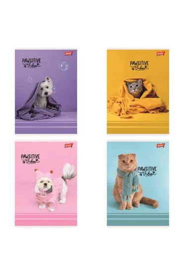 St. Majewski Zeszyt A5 32 kartki linia dwukolorowa. Ok�adka laminowana lakier miejscowy UV 70 g/m2. Pawsitive Vib