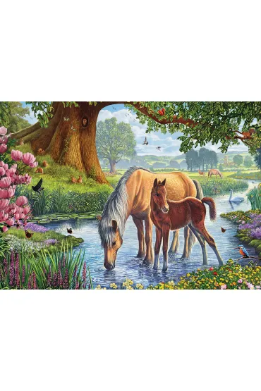 Puzzle 1000 el. Dzikie koniki, Steve Crisp Eurographics
