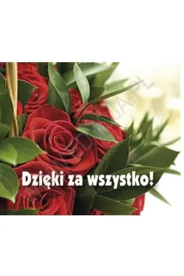 Dzi�ki za wszystko! Pere�ka 191