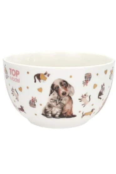Depesche Miseczka w ozdobnym pude�ku Top Model Fur Ever Friends 13867A