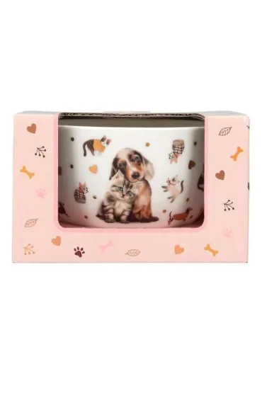 Depesche Miseczka w ozdobnym pude�ku Top Model Fur Ever Friends 13867A