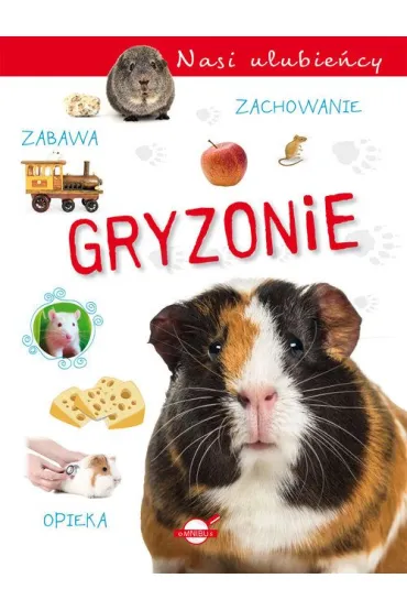 Nasi ulubie�cy. Gryzonie