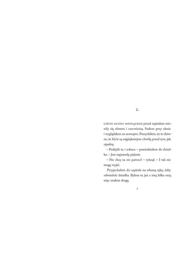 Uciekinierzy - Ulf Stark