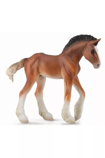 �rebi� Clydesdale ma�ci bay 004-88625