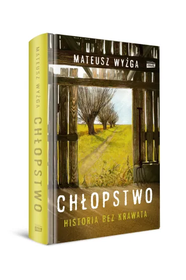 Ch�opstwo. Historia bez krawata - Mateusz Wy�ga
