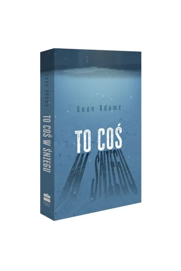 To co� w �niegu - Sean Adams