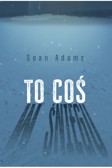 To co� w �niegu - Sean Adams