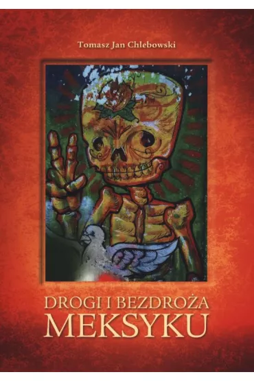 Drogi i bezdro�a Meksyku - Tomasz Jan Chlebowski