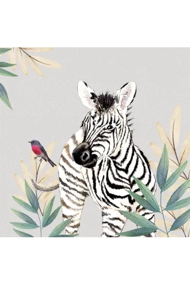 Clear Creations Karnet Swarovski kwadrat CL4711 Zebra