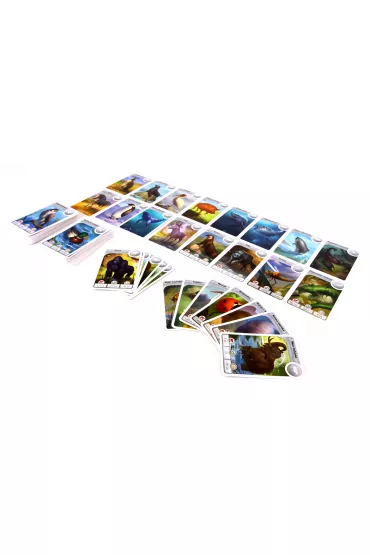 Cardline. Zwierz�ta - Fr�d�ric Henry