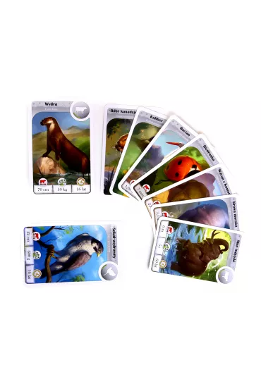 Cardline. Zwierz�ta - Fr�d�ric Henry