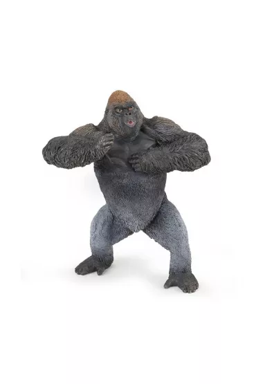 Goryl g�rski