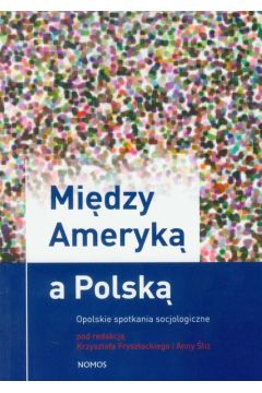 eBook Midzy Ameryk a Polsk pdf