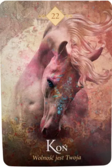 Wyrocznia Duchowych Zwierz�t, karty - Colette Baron-Reid
