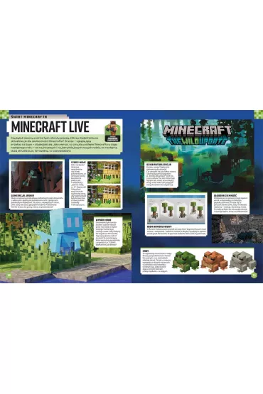 Minecraft. Rocznik 2023 - Thomas  McBrien
