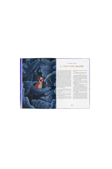 Opowie�ci biblijne. Stary Testament - Justyna Bednarek